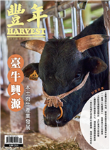 臺牛興源本土肉牛產業發展