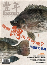 臺灣鯛民有何懼?外銷實力極霸
