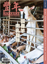 國產羊肉乳雙鮮