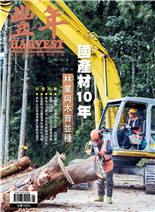 國產材10年林業與木育並種