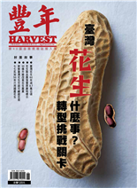 臺灣花生什麼事? 轉型挑戰關卡