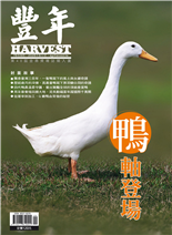 鴨軸登場