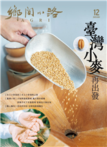 臺灣小麥再出發