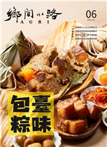 包臺粽味