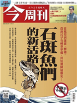 石斑魚們的新活路-鄭閔聲、張如嫻-今周刊第1332期