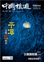 跟着平潭映象尋找藍甘肅麵對麵糉子海參大埔端午遊夜龍克孜爾尕哈烽燧在宏闊場館拍攝盛事的新體驗