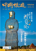東方金字塔賀蘭山麓西夏陵石頭魚一位攝影師的理想世界麻雀文化對對碰颱風幻變藝遊齊魯大地團扇岩羊峭壁上的勇者