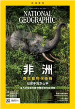 非洲野生動物保衛戰從犀牛到穿山甲深入全球最大膽物種拯救行動現場高溫下的懷孕危機極端氣候如何成為生育新風險水母大爆發化生態危機為全球商機