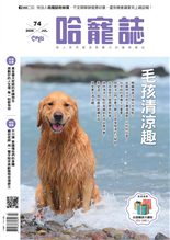 黃金獵犬奇諾的幸福狗生規劃好的人生裡每一刻都有你毛孩清涼趣又到玩水的好日子