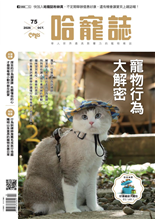 寵物行為大解密探吉的行為翻譯課先聽懂他的心才發現每個小動作都在說愛