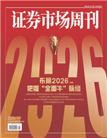 布局2026把握全面牛脈絡